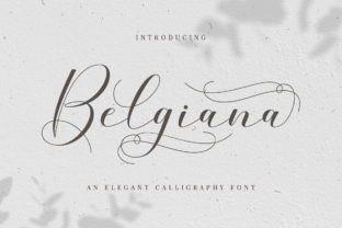 Belgiana Font: Modern Script Elegance for Web Design