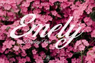Emely Font Review: Friendly Script for Campaigns