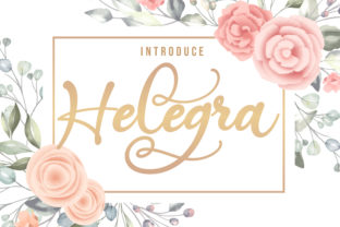 Helegra Font Review: Editorial Warmth and Readability
