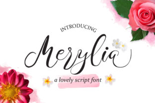 Merylia Font: Organic Script for Digital Campaigns