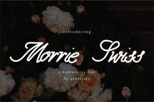 Morrie Swiss Font: A Designer’s Campaign Review