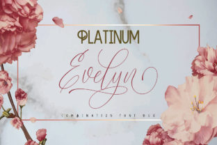 Platinum Evelyn Duo Font Review for Small Business Branding