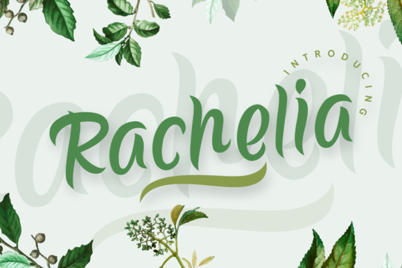 Rachelia Font Review: Elegant Handwritten Type for Branding