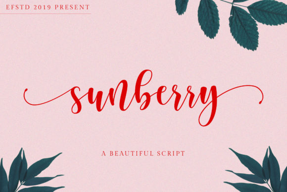 Sunberry Font: A Handwritten Typeface for Small Business Branding