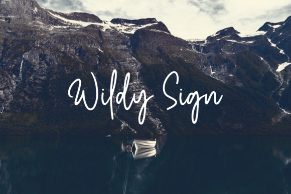 Wildy Sign: A Designer’s Review for Real Projects