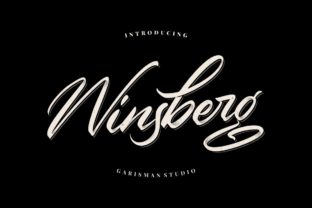 Winsberg Font: Bold Handwritten Style for Branding
